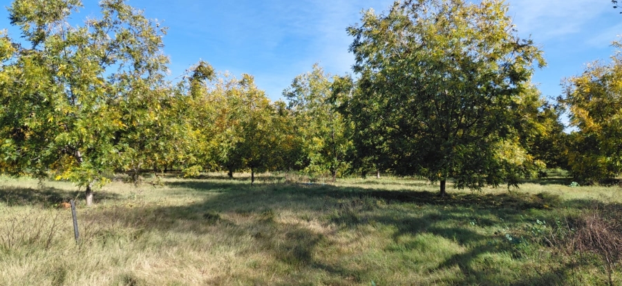 Commercial Property for Sale in Jan Kempdorp Rural Northern Cape